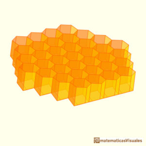 la-forma-de-las-celdas-de-los-panales-de-abejas-un-fascinante-diseno-geometrico