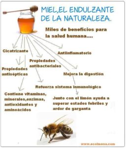 que-vitaminas-tiene-la-miel-de-abeja